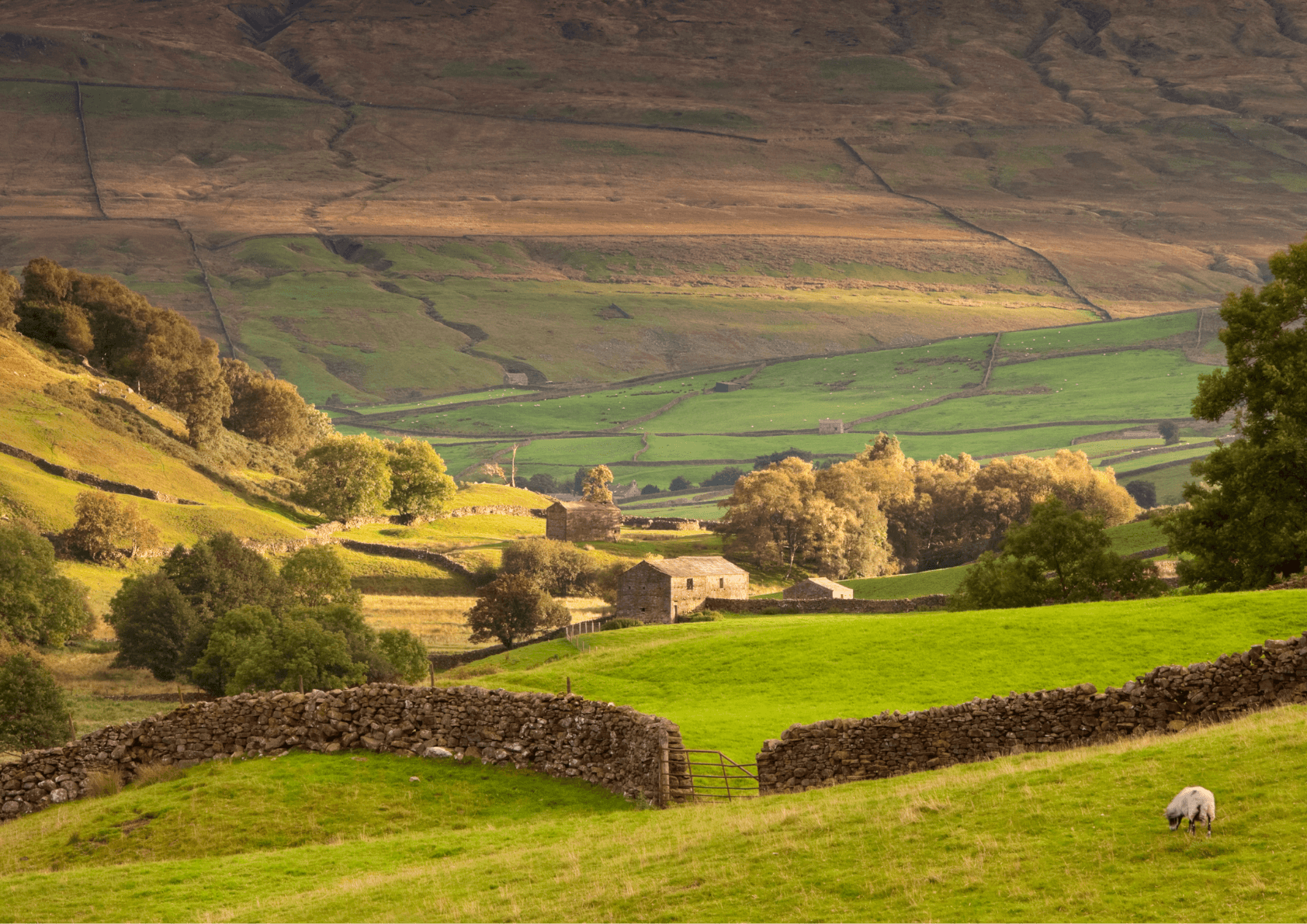 Malebná kopcovitá krajina Yorkshire